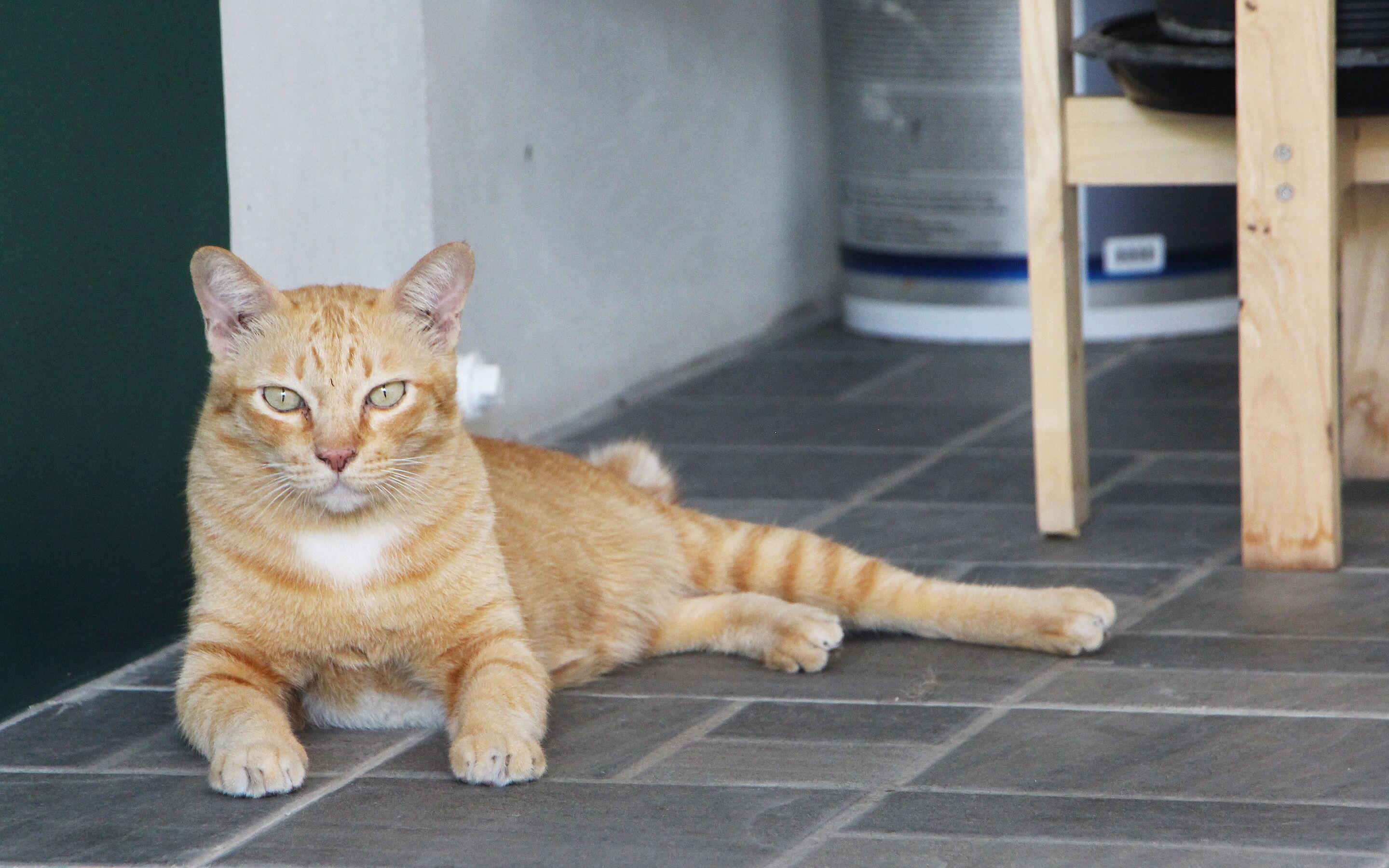 Foto - Room in Guest room - Baan Khunphiphit Homestay no3370