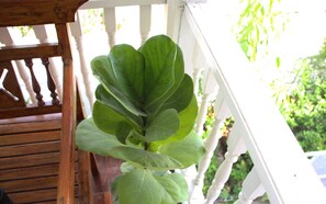 Room, 1 Bedroom, Smoking, Balcony | Kawasan hartanah