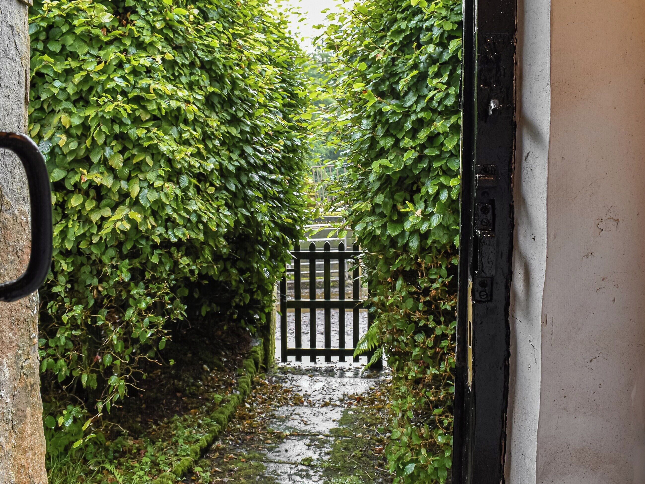 Terrein van de accommodatie