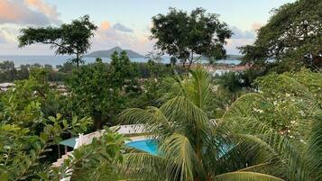 Surrounded by lush foliage and a serene coastal landscape, this property offers a tranquil escape with a stunning pool view.