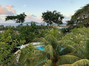 Pool - Explore Sesel from Naturalis: newly built, best ocean views, pool, lush gardens. (La louise)