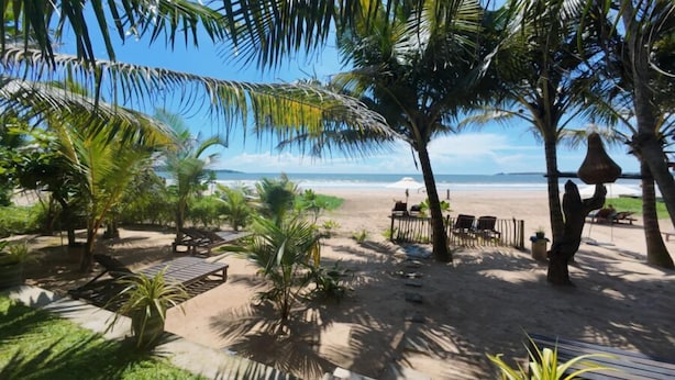Una playa con palmeras, una terraza de madera y vista al océano.