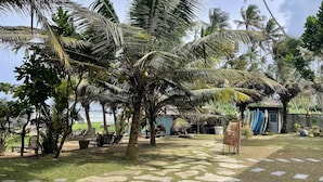 Un jardín tropical con palmeras, un camino de piedra y una pequeña cabaña con tablas de surf.
