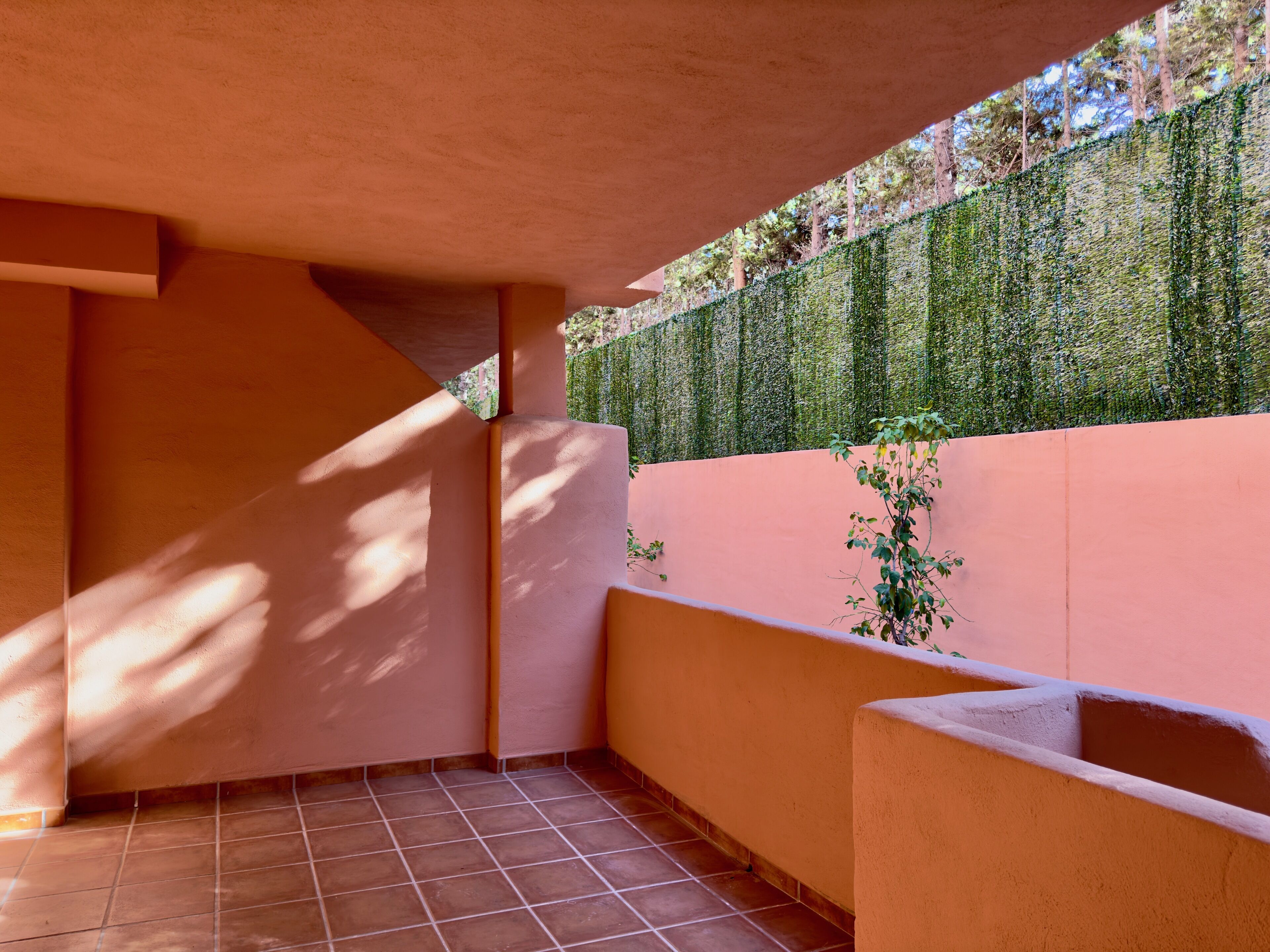 A balcony with a tiled floor, a pink wall, and a green ivy-covered wall.