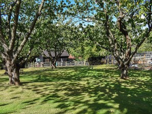 Boendeområde