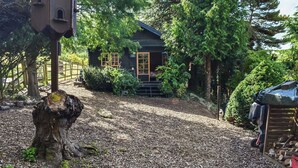 A rustic cabin with a wooden exterior, surrounded by dense trees and a gravel path.