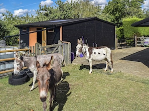 Property grounds - 2 bedroom accommodation in Faversham (Faversham)