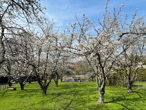 Property grounds - 2 bedroom accommodation in Faversham (Faversham)