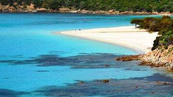 Camastros y toallas de playa