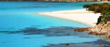 Chaises longues, serviettes de plage