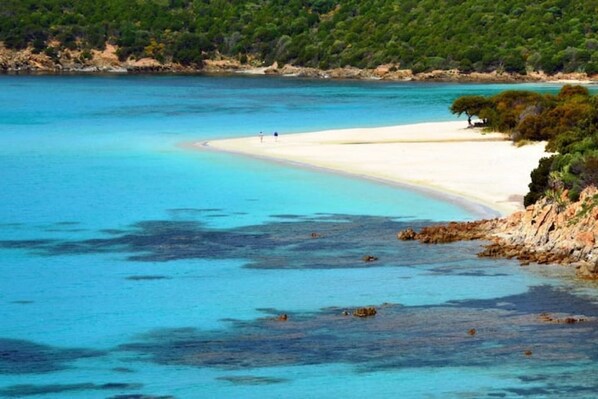 Camastros y toallas de playa 
