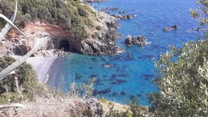 A coastal landscape with a rocky beach, clear blue waters, and a cave entrance.