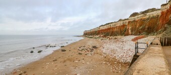 애플  트리하우스