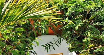 LE TI CITRON VERT Bungalow tout couleur avec baignoire chauffée exterieure