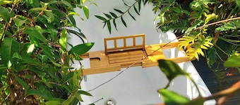 Bungalow Tout Couleur Avec Baignoire Chauffée Exterieure LE TI Citron Vert