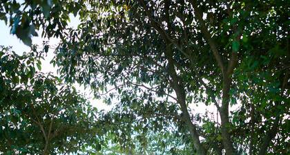 PELICAN LODGE - LAKE ELEMENTAITA