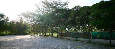 A paved pathway lined with trees and a stone wall with a plaque.