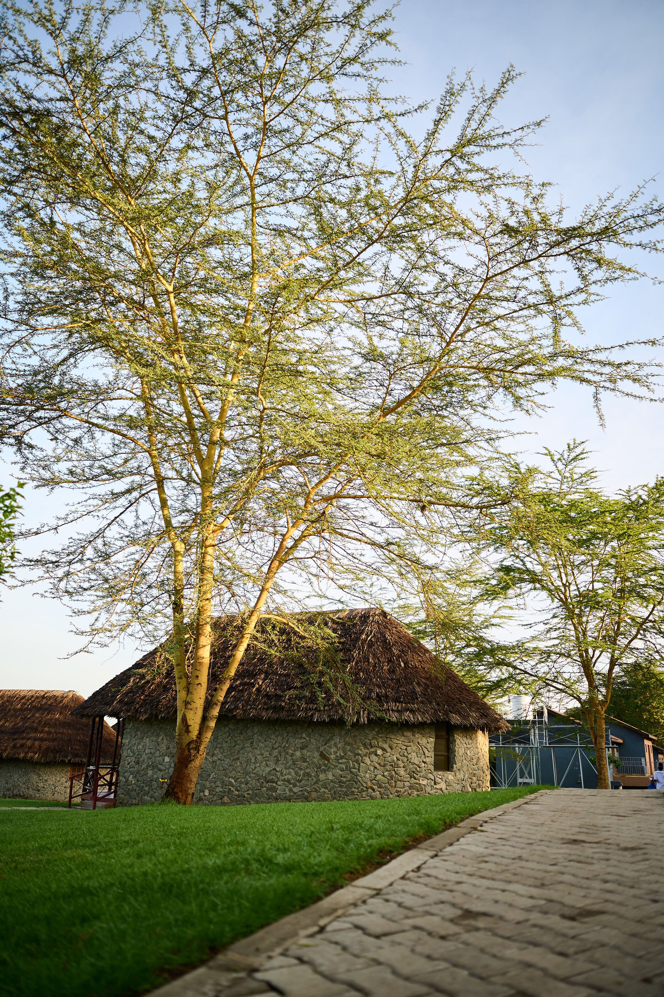 A stone building with a thatched roof, surrounded by a paved pathway and green grass.