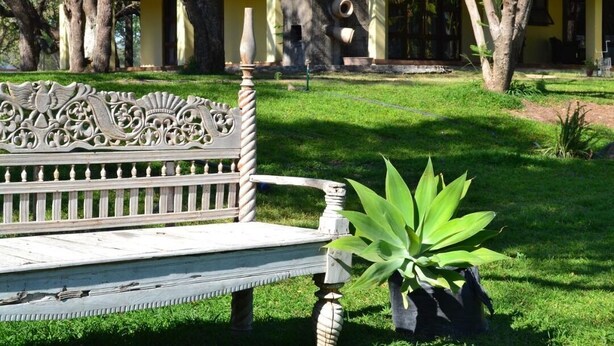 A bench with ornate carvings, a potted plant, and a yellow building with columns in the background. - Staybridge Riverside & Spa (Francistown)