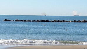 Serviettes de plage