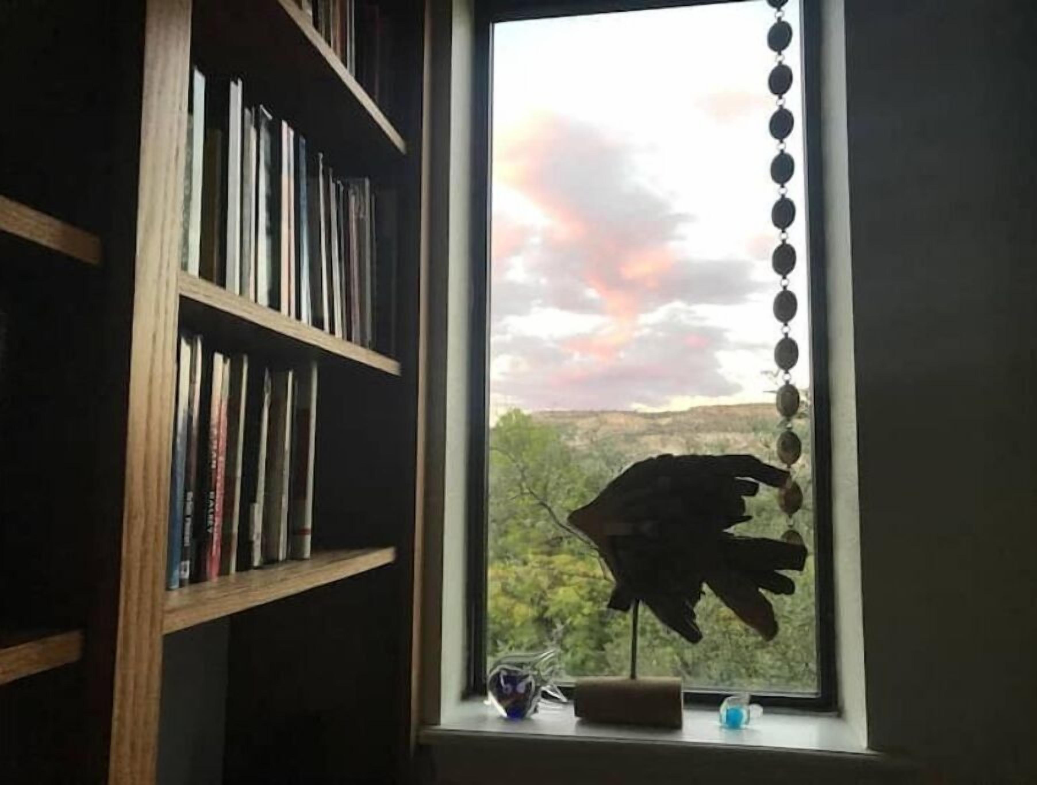 Une pièce avec une bibliothèque, une fenêtre donnant sur un paysage et un élément décoratif suspendu.