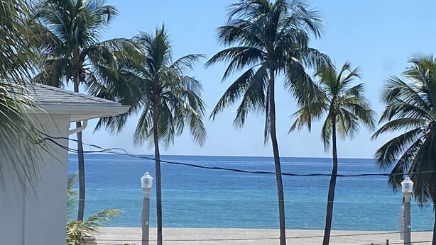 A beachfront view with palm trees and a clear sky. - MARINE VILLAS HOLLYWOOD  (Hollywood)