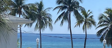 ห้องทราดิชันนัลสตูดิโอสวีท | บริเวณนั่งเล่น | สมาร์ททีวี 50 นิ้ว พร้อมช่องดิจิตอล