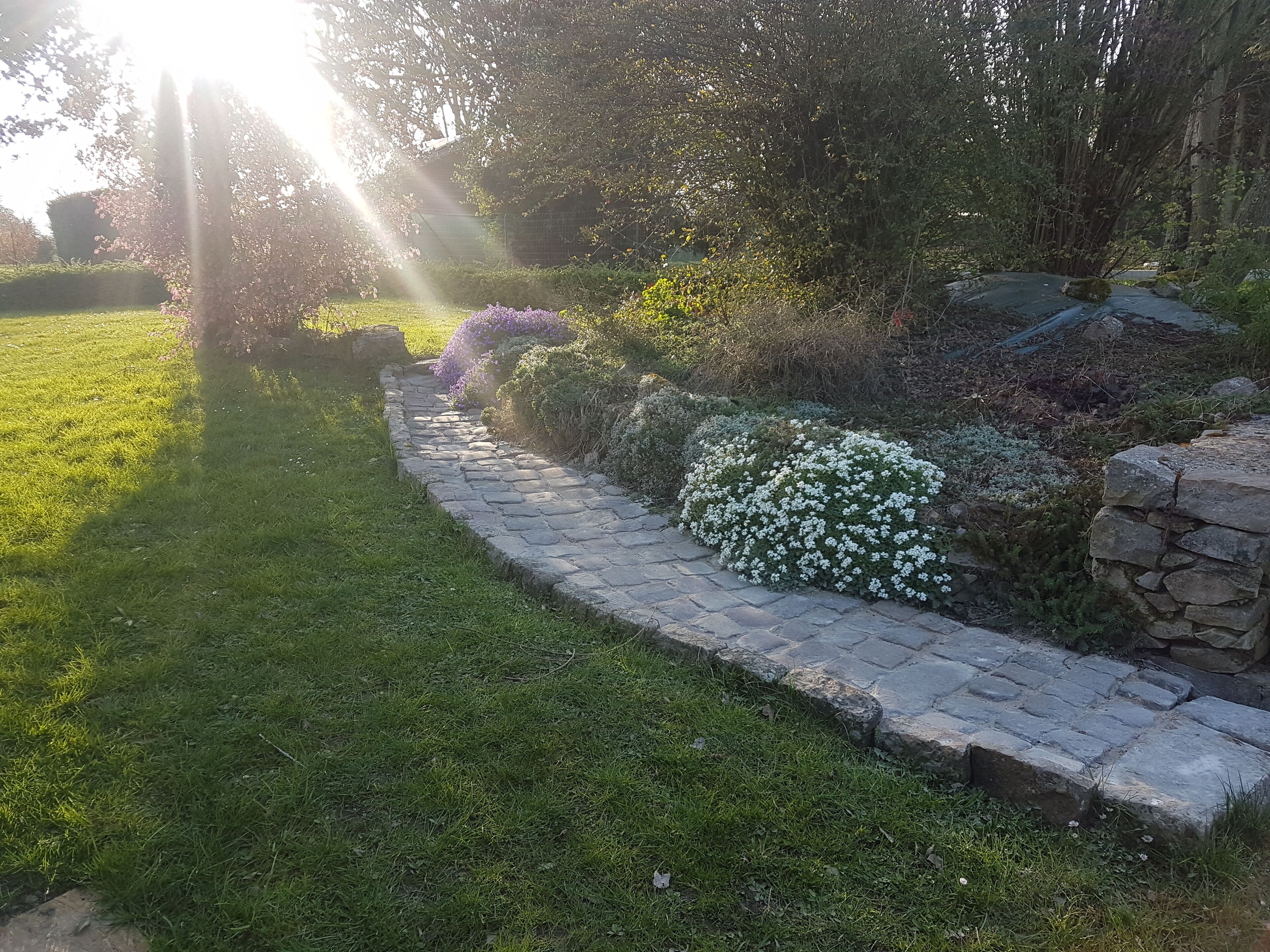 Áreas de la propiedad