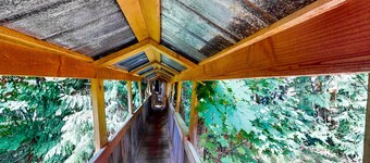 Charming woodland cottage with 2 covered porches, wood stove, treehouse, firepit