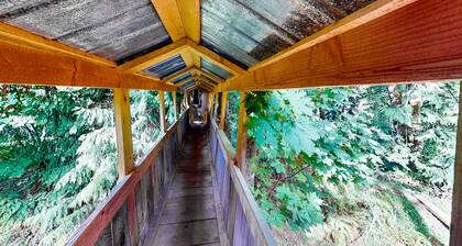 Charming woodland cottage with 2 covered porches, wood stove, treehouse, firepit