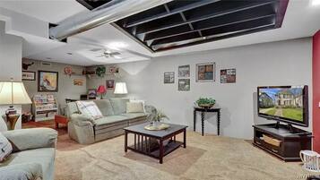 Smart TV, fireplace, books