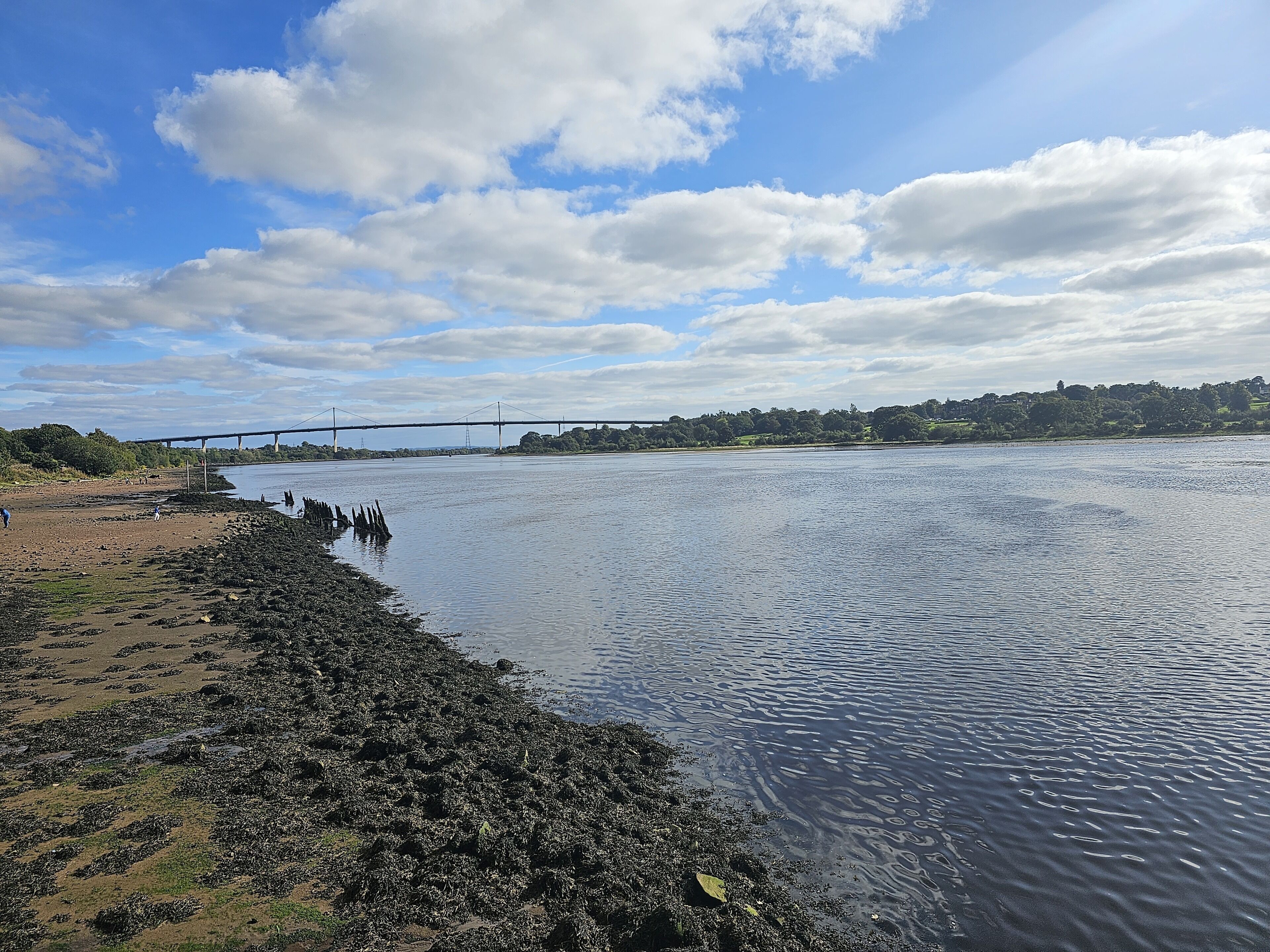A river with a bridge, rocky shore, and a distant green landscape.