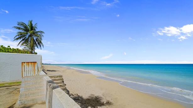Una playa con una palmera, una escalera que baja hacia la orilla, y un cielo azul despejado.