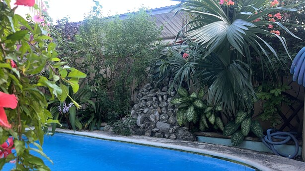 A swimming pool surrounded by lush greenery and a stone wall. - Villas Velarde: Studio in downtown Cozumel with pool (San Miguel de Cozumel)