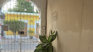 A corridor with tiled flooring, a potted plant, and wicker furniture. - Villas Velarde: Studio in downtown Cozumel with pool (San Miguel de Cozumel)