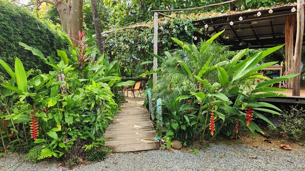A wooden pathway leading to a covered seating area surrounded by lush tropical plants.
