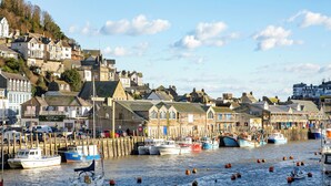 Marina - Bank Voles Nest - UK45199 (Looe)