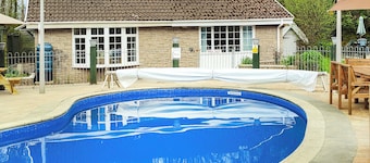 Bank Voles Nest - UK45199