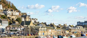 Bank Voles Nest - UK45199