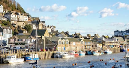 Bank Voles Nest - UK45199