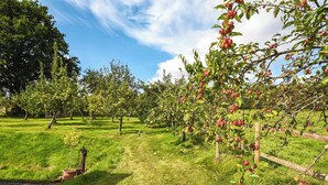 An orchard with rows of apple trees, a grassy path, and a wooden fence. - 3 bedroom accommodation in Church Stretton (Church Stretton)