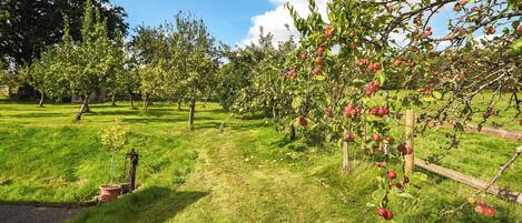 Àrea exterior de l'allotjament