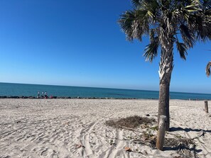 Beach - Welcome to the Seahorse Ranch. 3 Bedroom, 2 bathroom, private heated pool. (Venice)