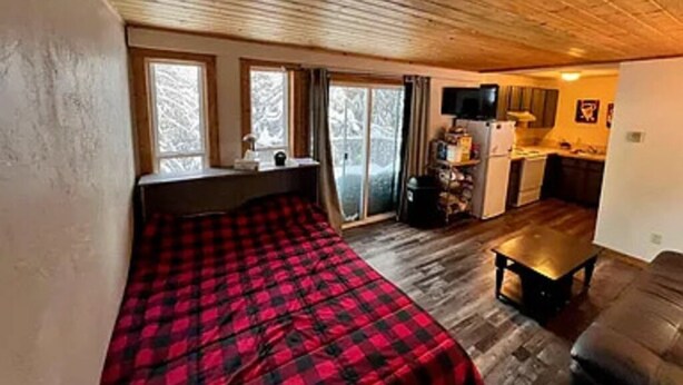A compact room with a bed, a small table, a sofa, a kitchenette, and a TV. - Tiny cabin in the woods (Sandpoint)