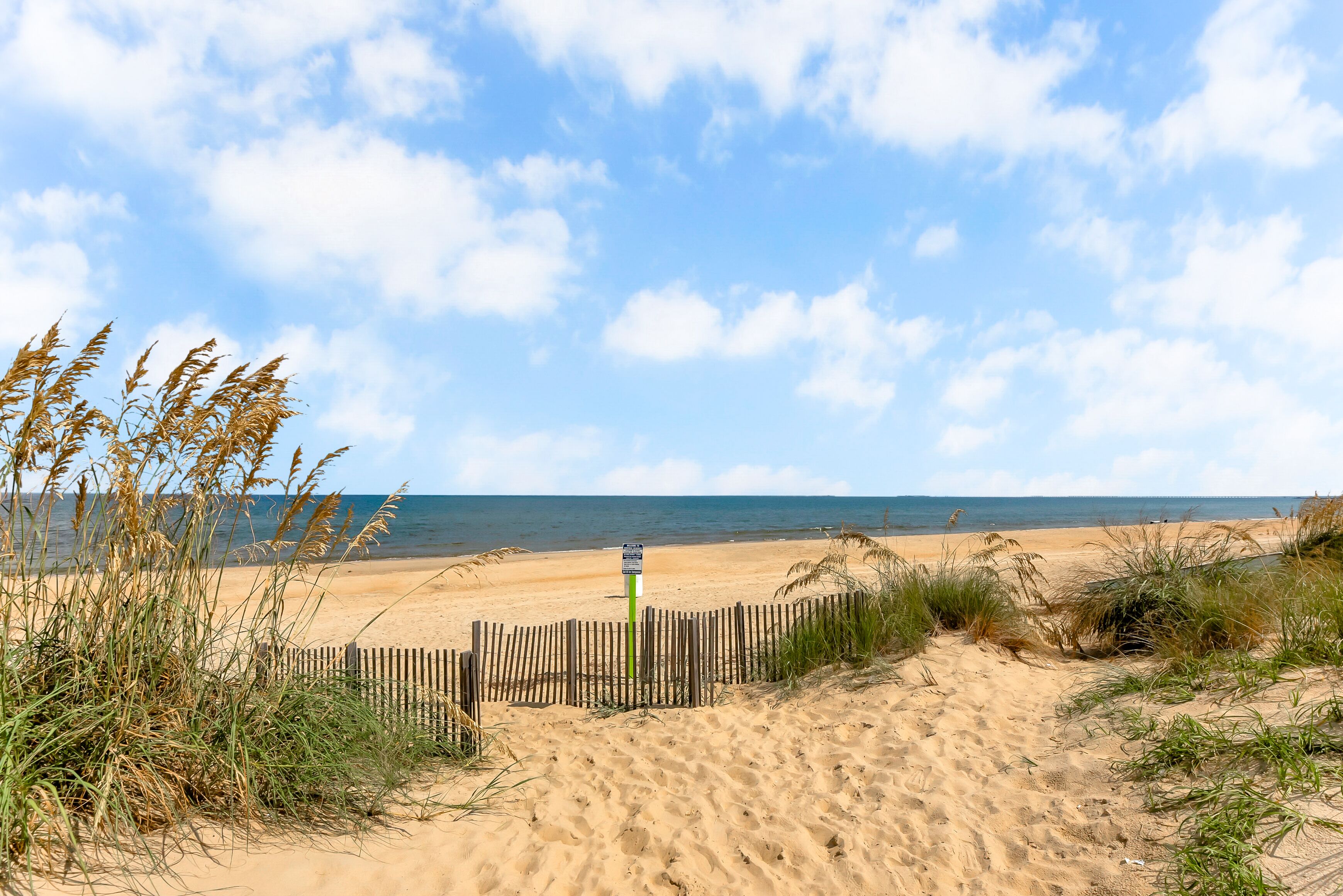 Chaises longues, serviettes de plage