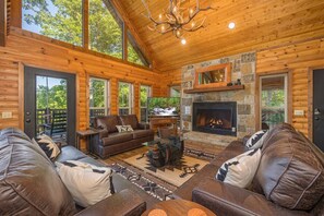 Smart TV, fireplace, books