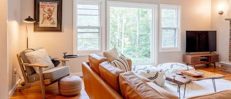 Televisión, chimenea, libros y estéreo