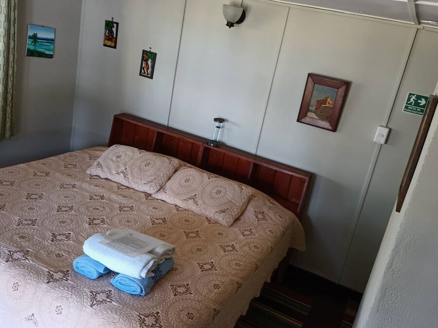 Una cama bien hecha con una colcha estampada y almohadas, una mesita de noche con una lámpara, y una ventana con cortinas.