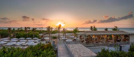 Un complejo turístico frente a la playa con una terraza de madera que da a un área de comedor cubierta, rodeado de palmeras y sombrillas.
