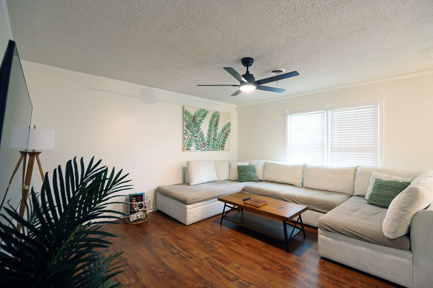 Smart TV, futbolito, libros y biblioteca musical 